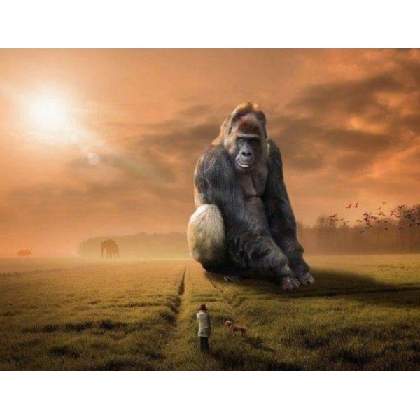 Gorilla dal dorso d'argento