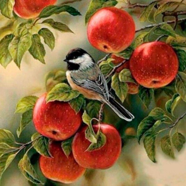 Uccellino su melo