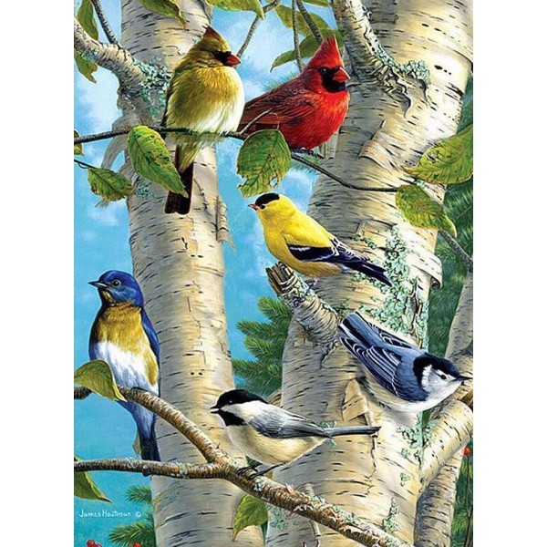Uccellini colorati su rami