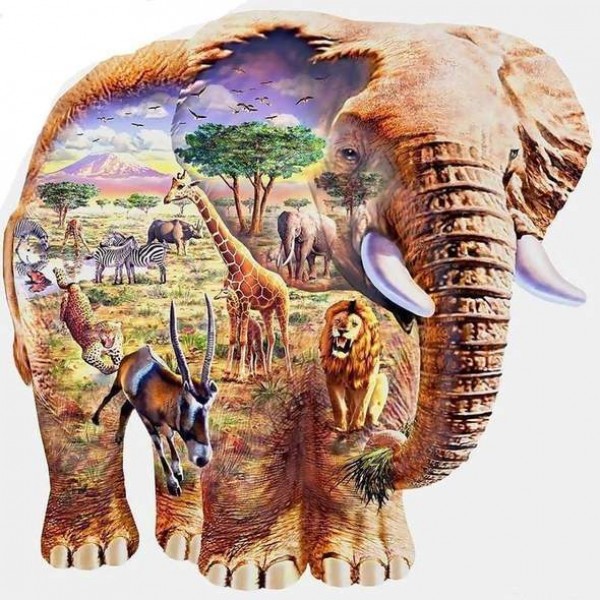 Elefante africa mondo incantato