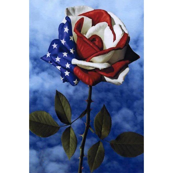 Rosa con la bandiera americana