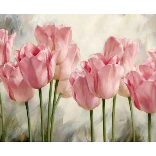 tulipani-rosa