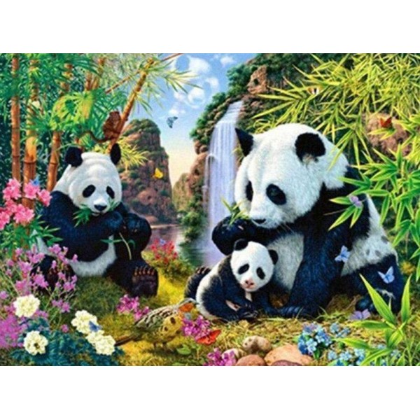 Famiglia di panda in una cascata