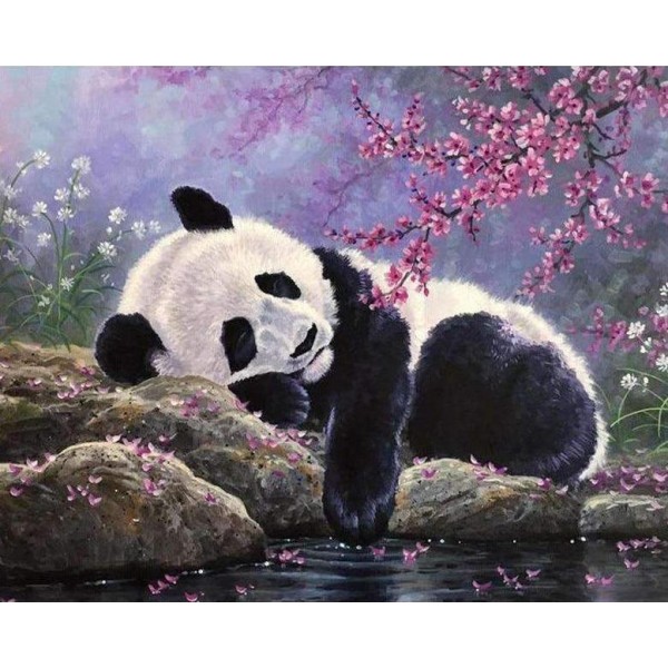 Panda che si rilassa vicino all'acqua