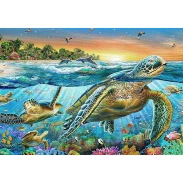 Tartarughe e pesci tropicali