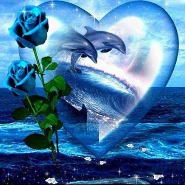 Delfini cuore e rose