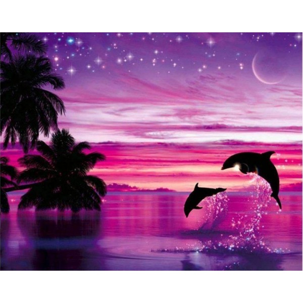 Delfini in tramonto viola