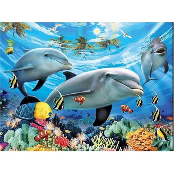 Delfini che nuotano