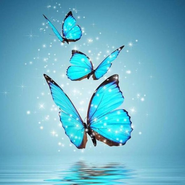 Farfalle d'acqua blu