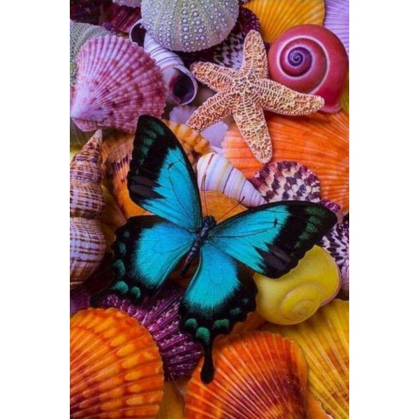 Farfalla e conchiglie di mare