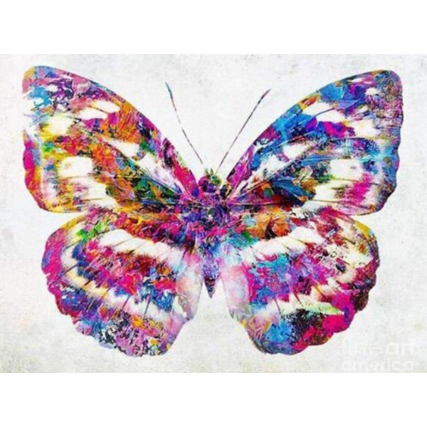 Farfalla colorata