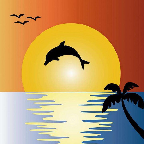 Delfino allegro al sole