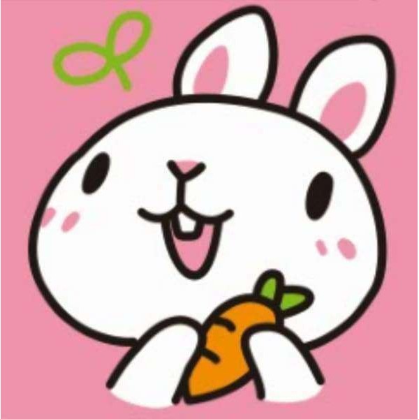 Coniglietto con carota