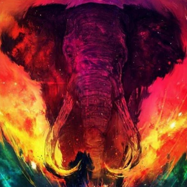 Elefante a colori
