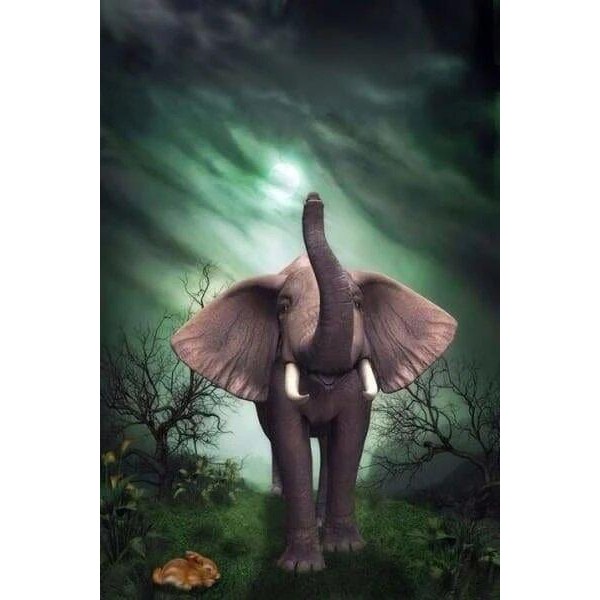 Elefantino e coniglietto