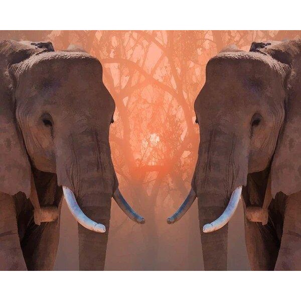 Gemelli elefanti