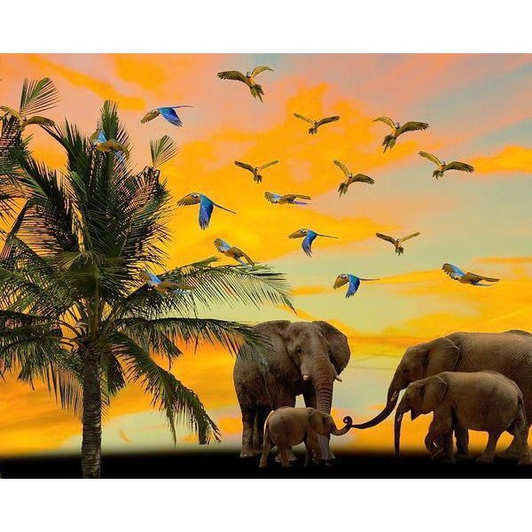 Elefanti e uccellini