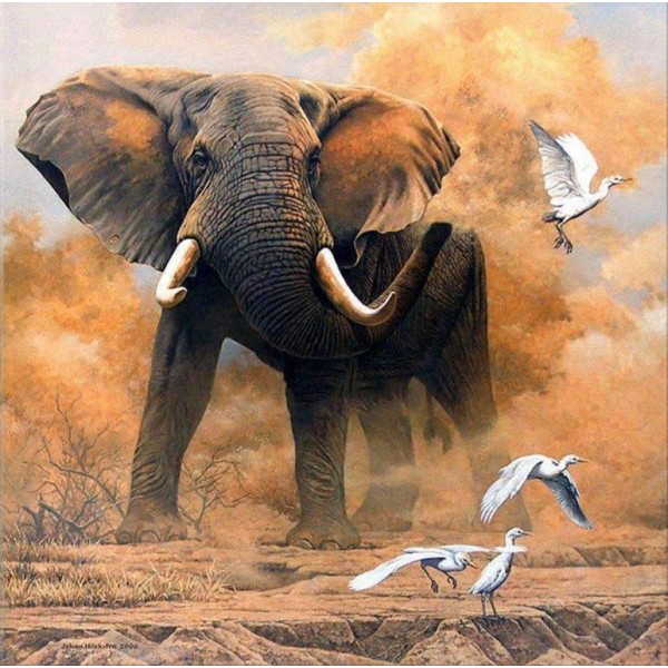 Elefante con uccellini