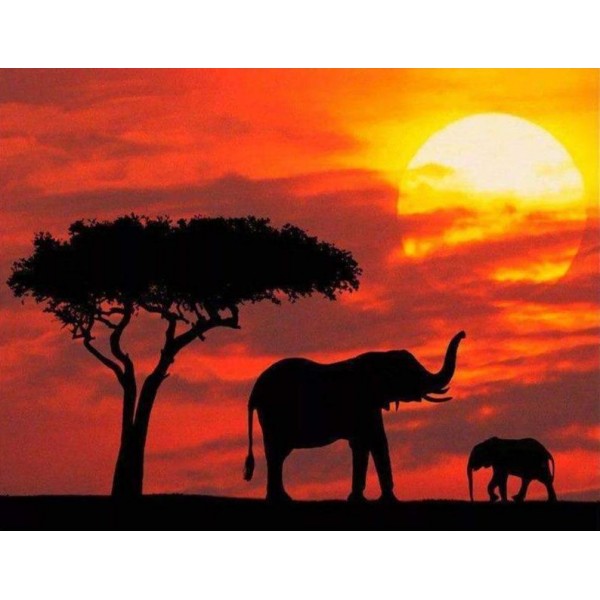 Elefanti in tramonto rosso