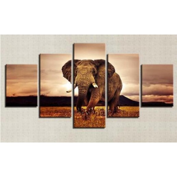 Elefante | 5 pezzi