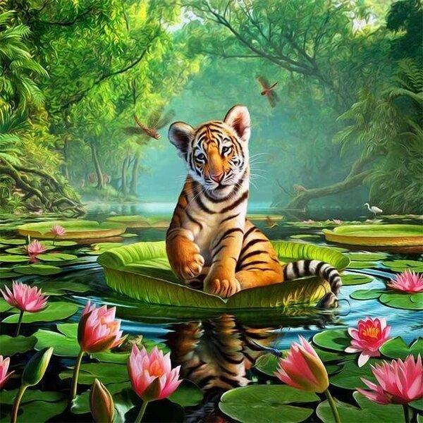 Tigre sull'acqua