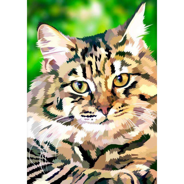 Gatto con strisce di tigre