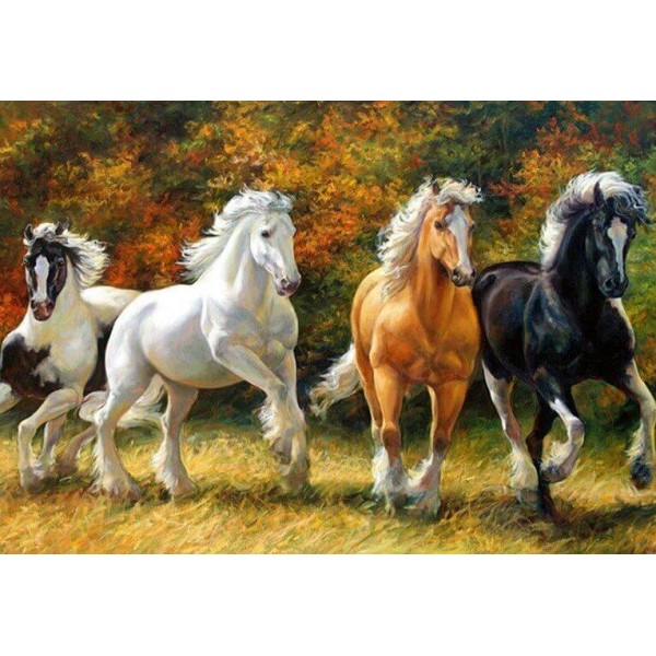 Cavalli colorati