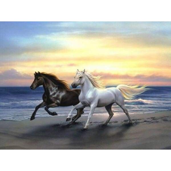 Cavalli che corrono sulla spiaggia