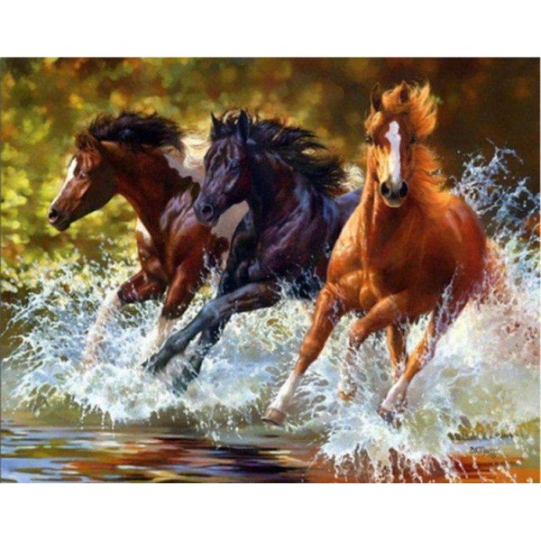 Cavalli al galoppo sull'acqua