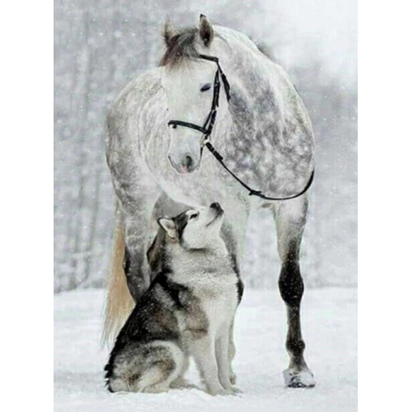 Lupo e cavallo nella neve