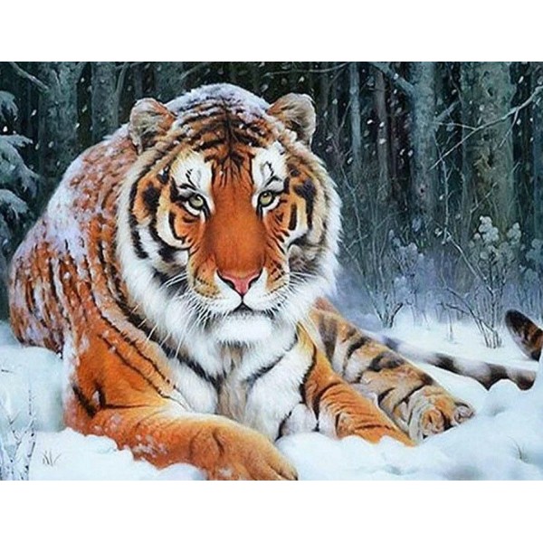 Tigre della neve