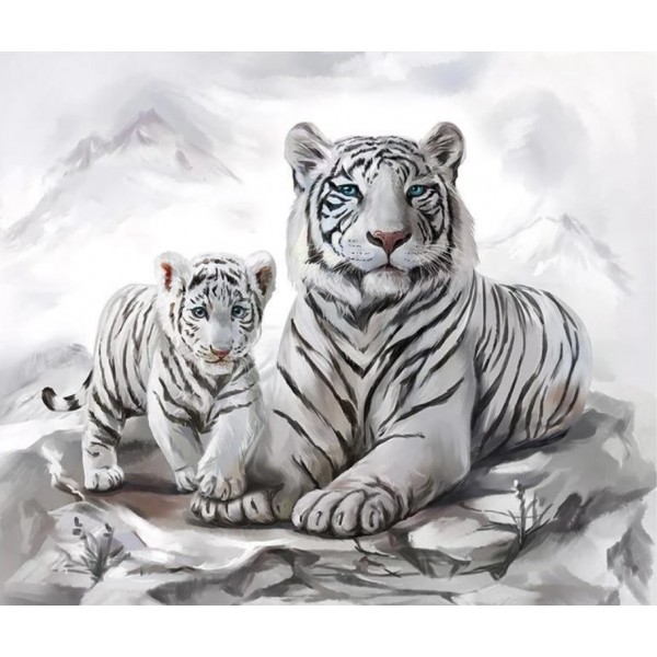 Bellissime tigri bianche