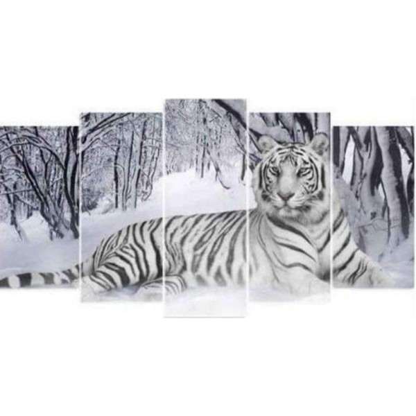 Tigre bianca nella neve
