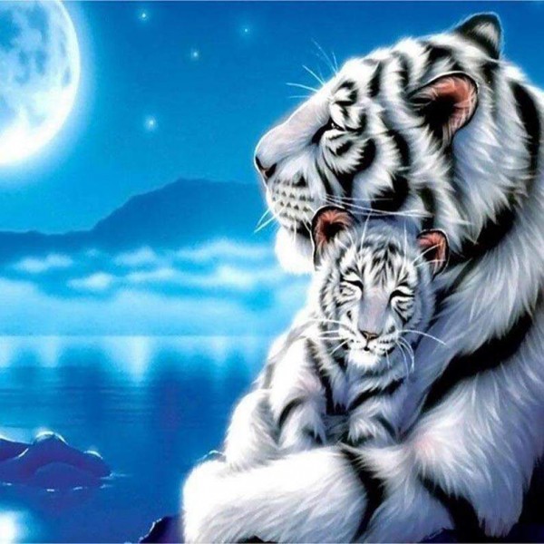 Tigre e piccola tigre