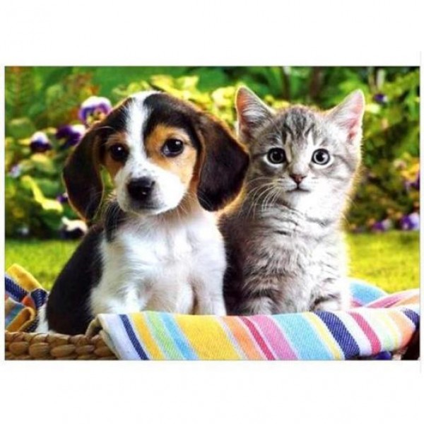 Cucciolo e gattino nella cesta