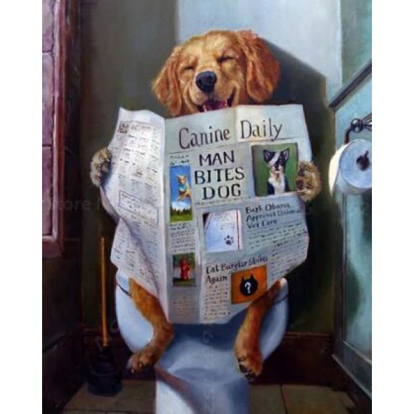 Cane al gabinetto con giornale