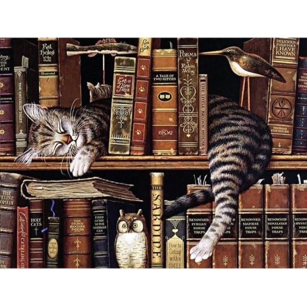 Gatto addormentato sulla libreria