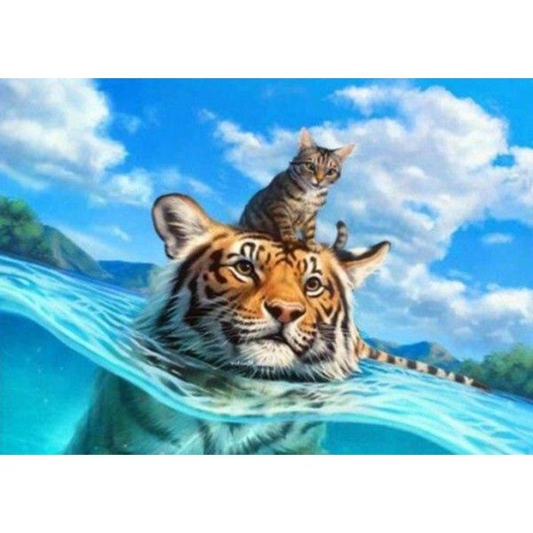 Tigre con gatto nell'acqua