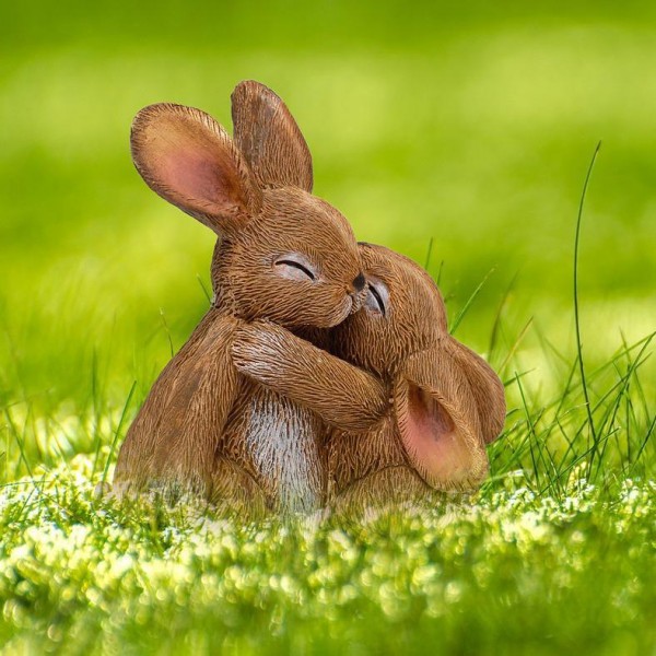 Abbracci di coniglio