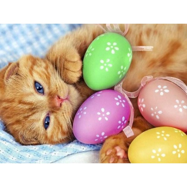 Un simpatico gattino con le uova di Pasqua
