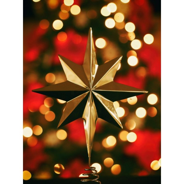 Stella di Natale dorata